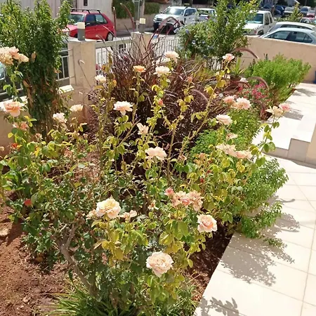 Apartmán Anmi Hospitality Chania (Crete)